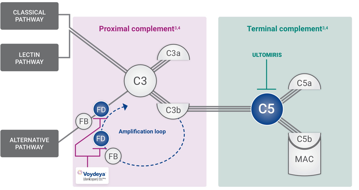 Dual Inhibition image